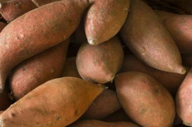 sweet-potatoes-main
